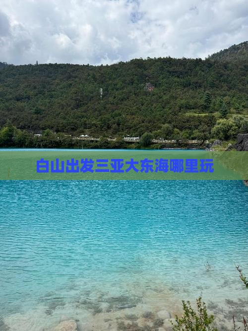 白山出发三亚大东海哪里玩