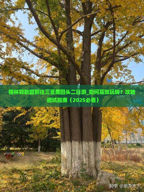 锡林郭勒盟前往三亚鹿回头二日游