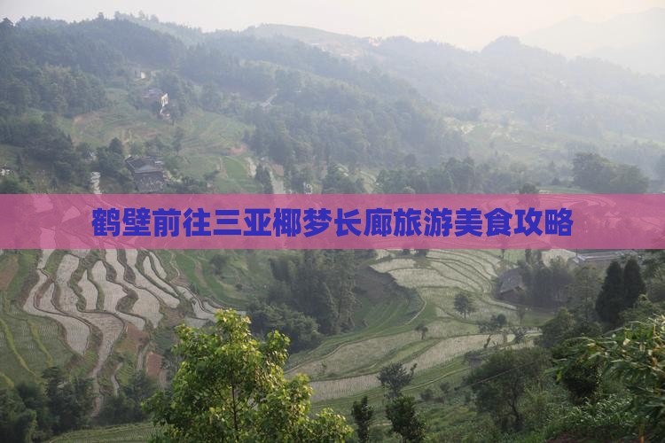 鹤壁前往三亚椰梦长廊旅游小吃