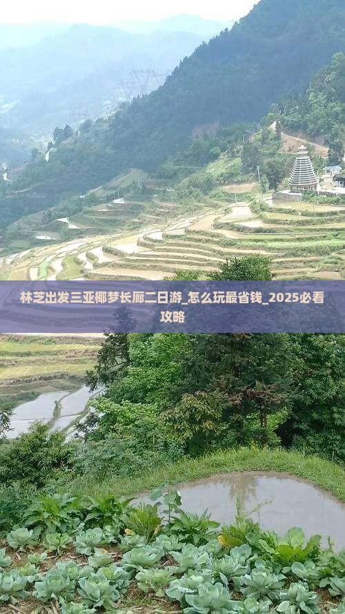 林芝出发三亚椰梦长廊二日游
