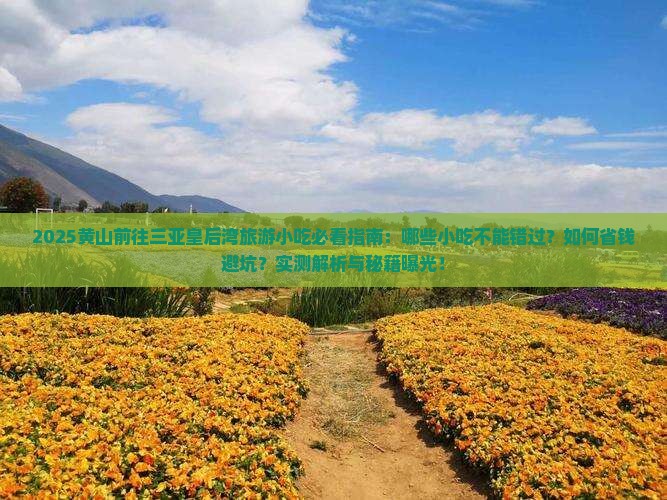 黄山前往三亚皇后湾旅游小吃
