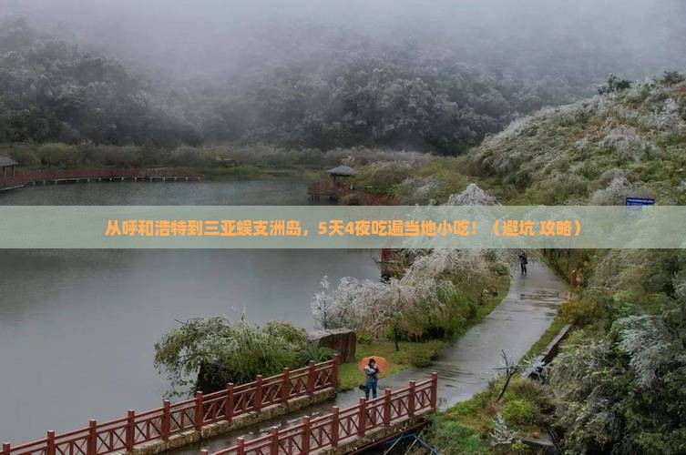 呼和浩特前往三亚蜈支洲岛旅游小吃