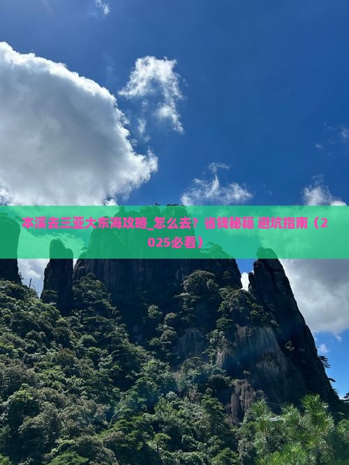 本溪去三亚大东海攻略
