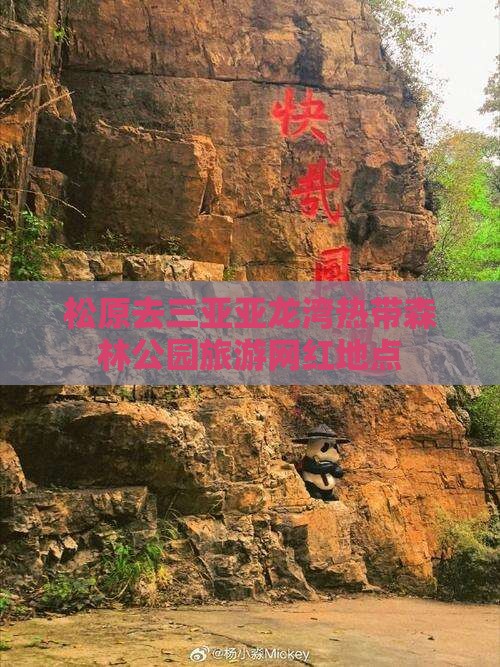 松原去三亚亚龙湾热带森林公园旅游网红地点