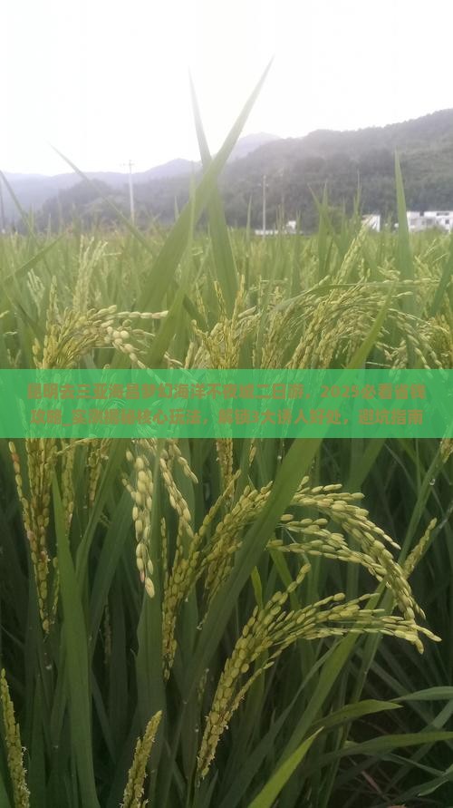 昆明去三亚海昌梦幻海洋不夜城二日游 昆明去三亚海昌梦幻海洋不夜城二日游