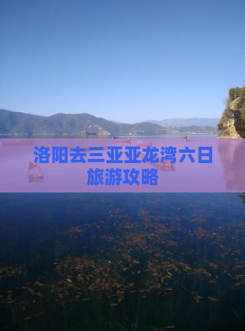洛阳去三亚亚龙湾热带森林公园六日游 洛阳去三亚亚龙湾热带森林公园六日游
