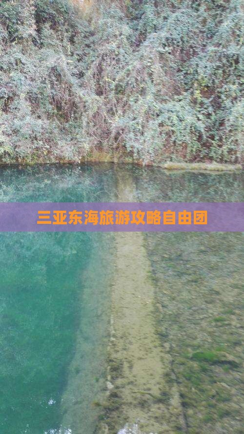 神农架去三亚小东海自由团