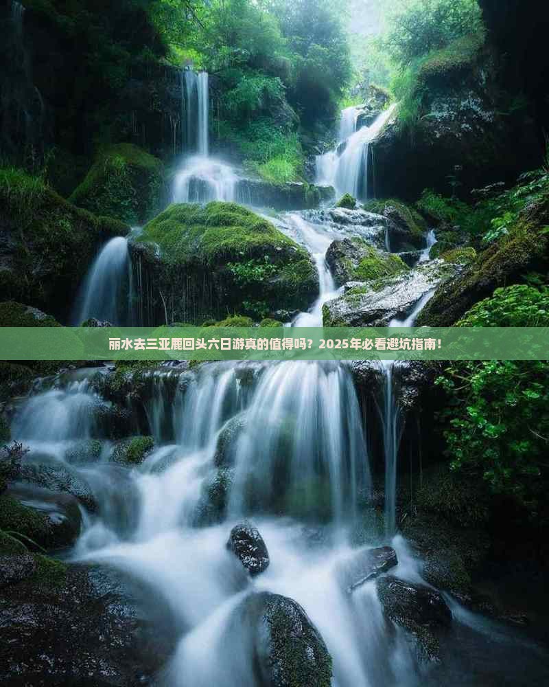 丽水去三亚鹿回头六日游