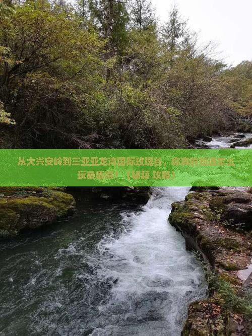大兴安岭前往三亚亚龙湾国际玫瑰谷必玩地
