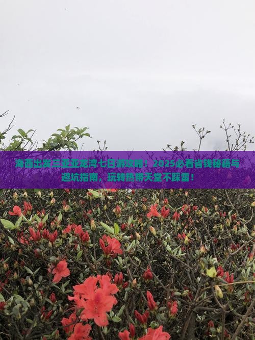 海西出发三亚亚龙湾七日游