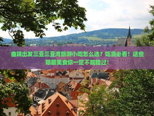 曲靖出发三亚三亚湾旅游小吃