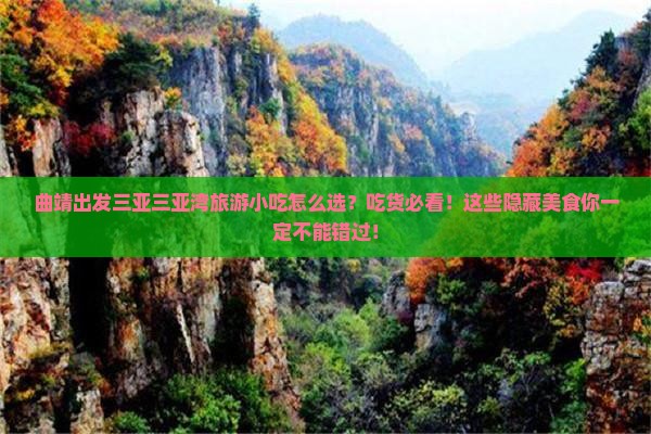 曲靖出发三亚三亚湾旅游小吃