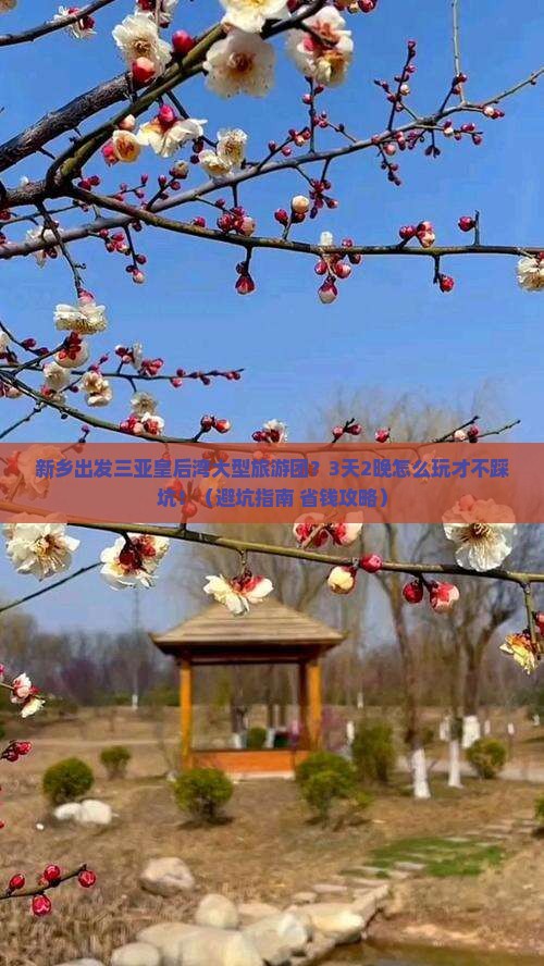 新乡出发三亚皇后湾大型旅游团