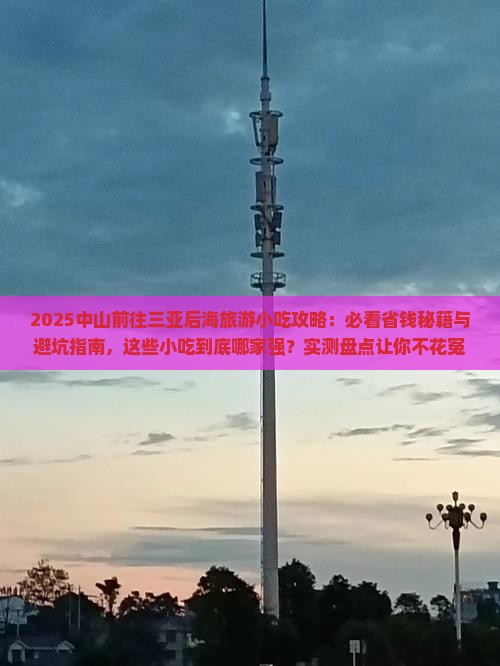 中山前往三亚后海旅游小吃