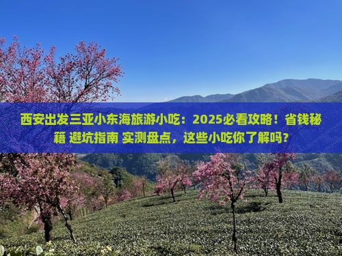 西安出发三亚小东海旅游小吃