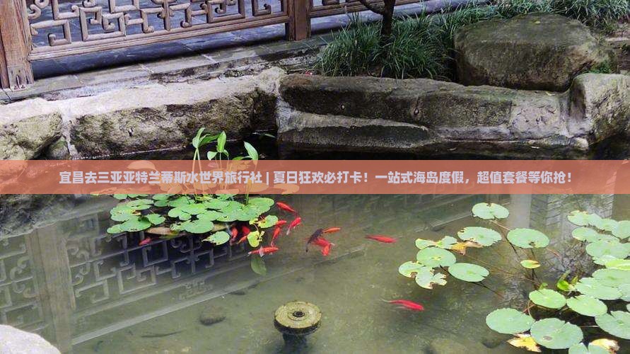 宜昌去三亚亚特兰蒂斯水世界旅行社