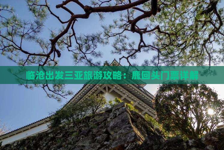 临沧出发三亚鹿回头门票