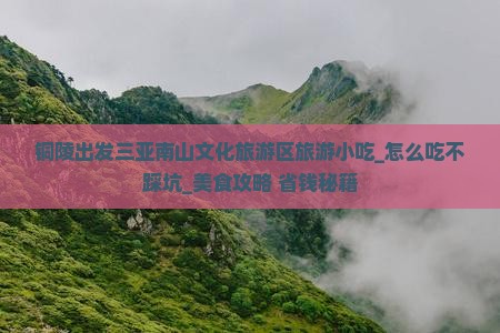 铜陵出发三亚南山文化旅游区旅游小吃