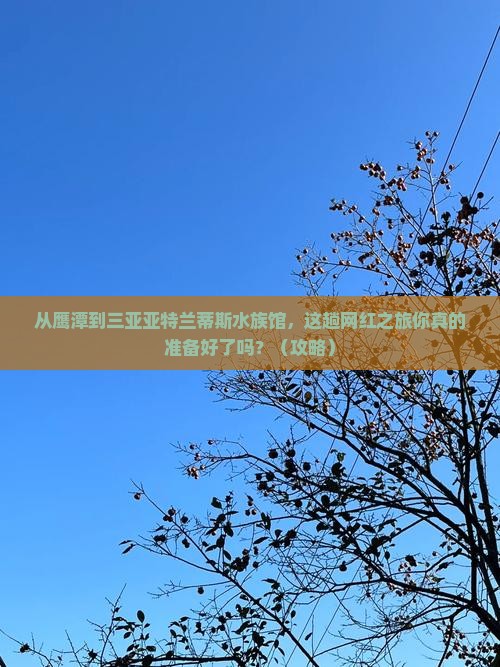 鹰潭去三亚亚特兰蒂斯水族馆旅游网红地点