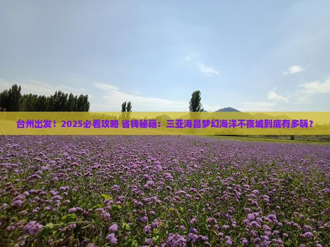 台州前往三亚海昌梦幻海洋不夜城哪里玩