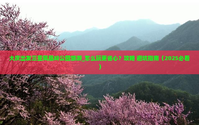 大庆出发三亚凤凰岭公园旅游