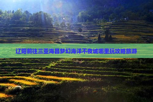 辽阳前往三亚海昌梦幻海洋不夜城哪里玩