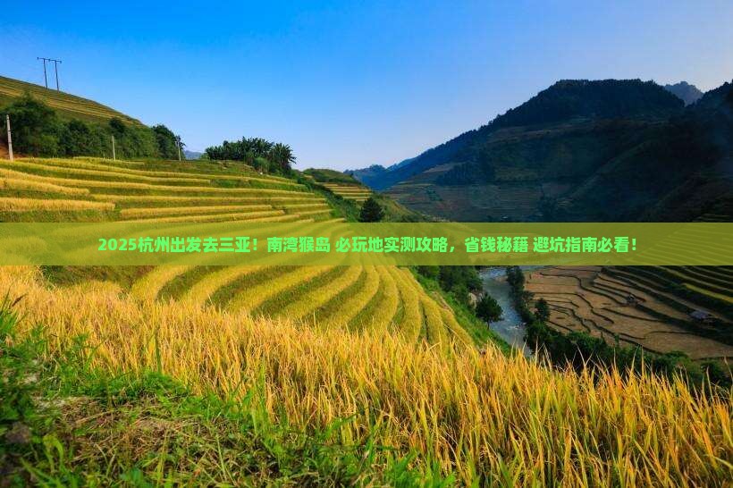 杭州出发三亚南湾猴岛必玩地
