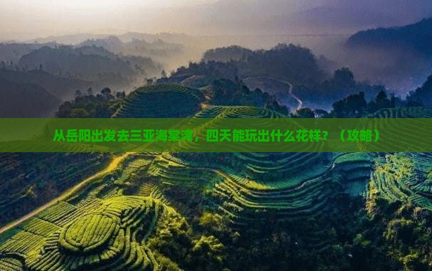 岳阳前往三亚海棠湾四日游