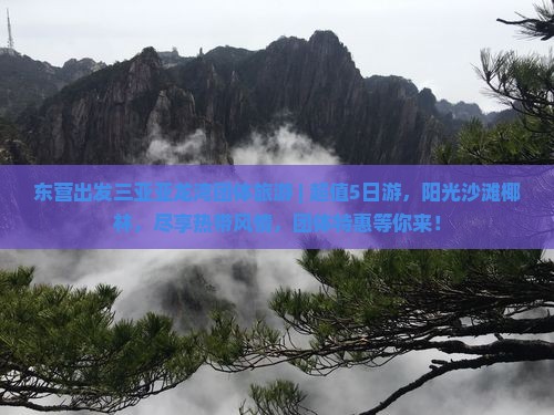 东营出发三亚亚龙湾团体旅游