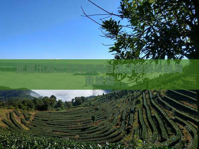 武威出发三亚海棠湾自由行