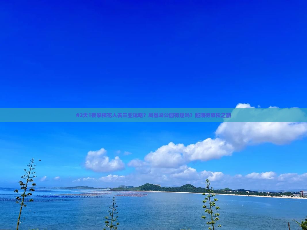 攀枝花去三亚凤凰岭公园二日游