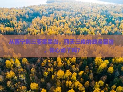 西宁前往三亚呆呆岛四日游
