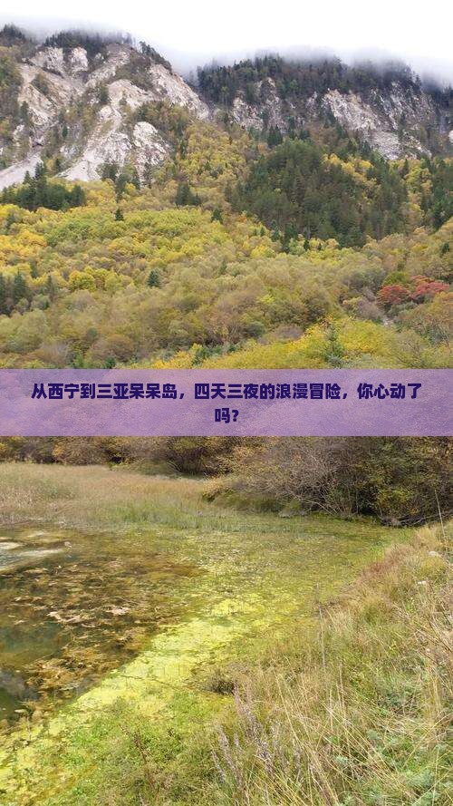 西宁前往三亚呆呆岛四日游