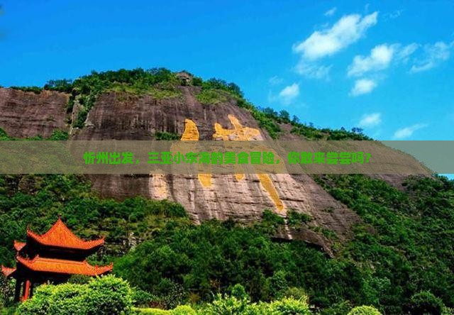 忻州出发三亚小东海旅游小吃