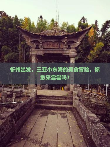 忻州出发三亚小东海旅游小吃