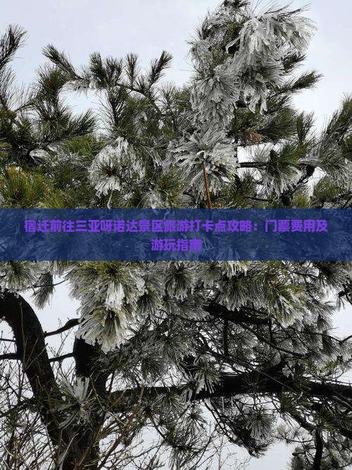 宿迁前往三亚呀诺达景区旅游打卡点