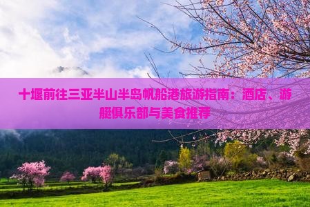 十堰前往三亚半山半岛帆船港旅游小吃