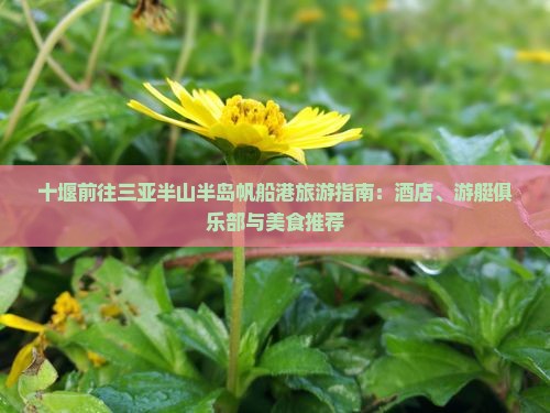 十堰前往三亚半山半岛帆船港旅游小吃