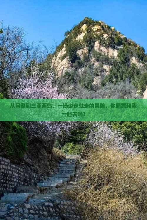 吕梁前往三亚西岛旅游