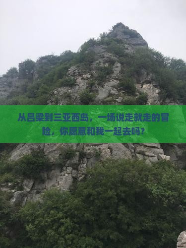 吕梁前往三亚西岛旅游