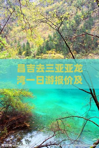 昌吉去三亚亚龙湾一日游