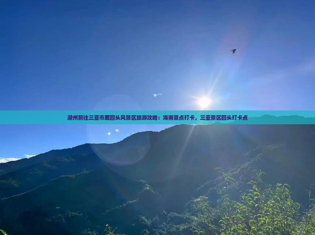 湖州前往三亚鹿回头旅游打卡点