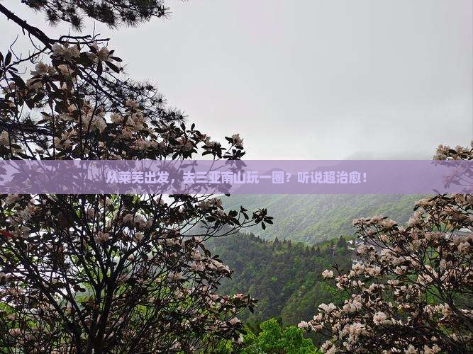 莱芜去三亚南山文化旅游区七日游
