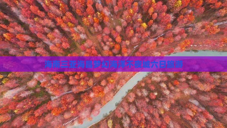 百色去三亚海昌梦幻海洋不夜城六日游