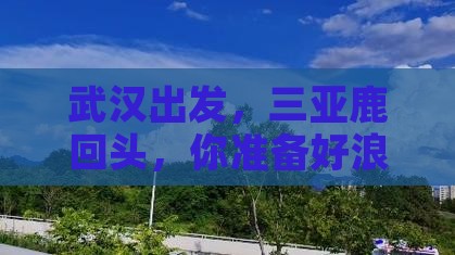 武汉去三亚鹿回头旅行社