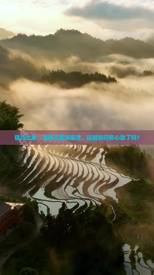 宿迁前往三亚海棠湾旅游打卡点