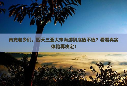 南充去三亚大东海四日游