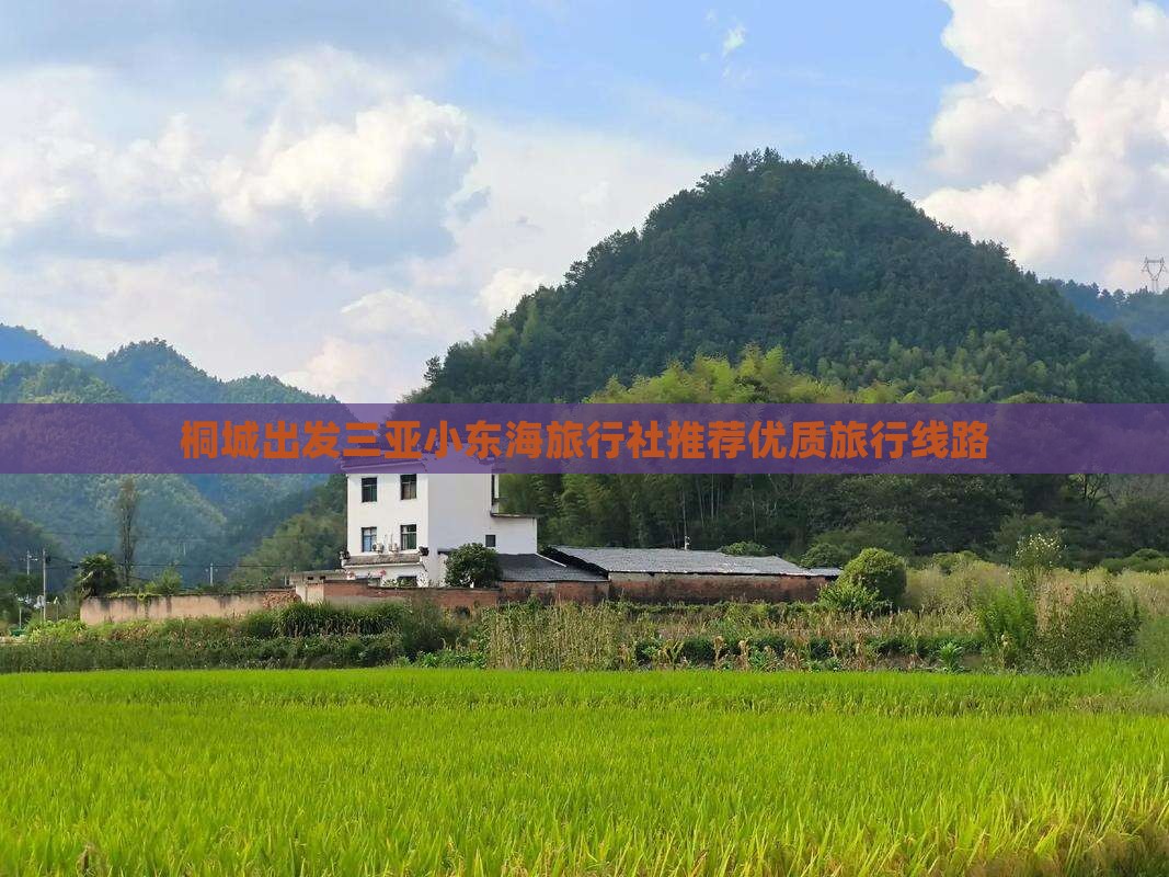 桐城出发三亚小东海旅行社