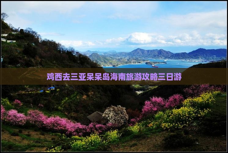 鸡西去三亚呆呆岛三日游