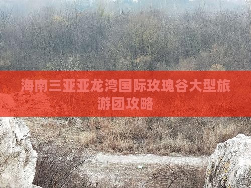 清远去三亚亚龙湾国际玫瑰谷大型旅游团